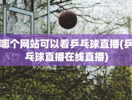 哪个网站可以看乒乓球直播(乒乓球直播在线直播)