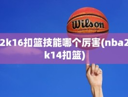 2k16扣篮技能哪个厉害(nba2k14扣篮)