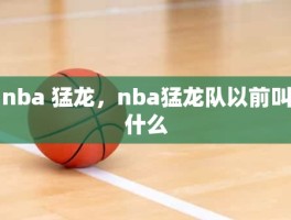 nba 猛龙，nba猛龙队以前叫什么