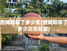 詹姆斯拿了多少奖(詹姆斯拿了多少次总冠军)