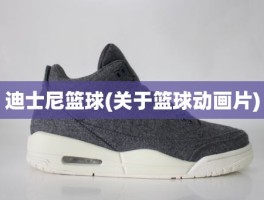 迪士尼篮球(关于篮球动画片)