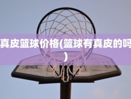 真皮篮球价格(篮球有真皮的吗)