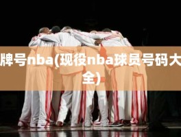 牌号nba(现役nba球员号码大全)