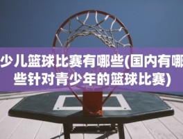 少儿篮球比赛有哪些(国内有哪些针对青少年的篮球比赛)