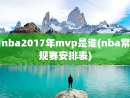 nba2017年mvp是谁(nba常规赛安排表)