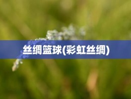 丝绸篮球(彩虹丝绸)