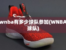 wnba有多少球队参加(WNBA球队)