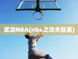 武功NBA(nba之功夫巨星)