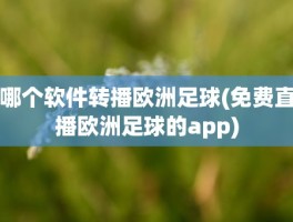 哪个软件转播欧洲足球(免费直播欧洲足球的app)