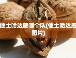 便士哈达威哪个队(便士哈达威图片)