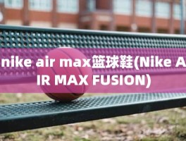 nike air max篮球鞋(Nike AIR MAX FUSION)