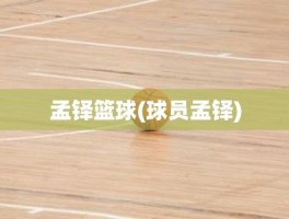 孟铎篮球(球员孟铎)