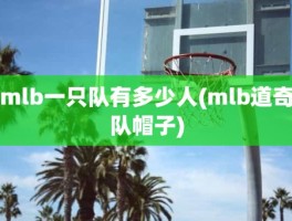 mlb一只队有多少人(mlb道奇队帽子)