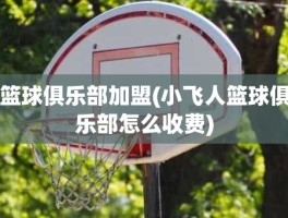 篮球俱乐部加盟(小飞人篮球俱乐部怎么收费)