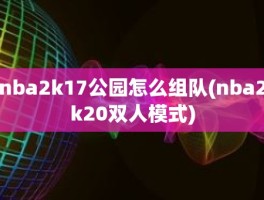 nba2k17公园怎么组队(nba2k20双人模式)