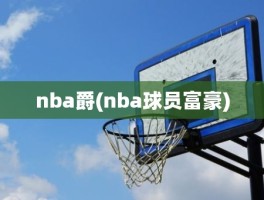 nba爵(nba球员富豪)