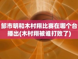 邹市明和木村翔比赛在哪个台播出(木村翔被谁打败了)