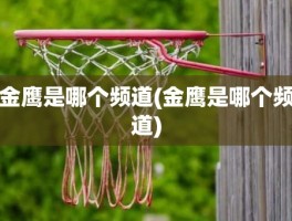 金鹰是哪个频道(金鹰是哪个频道)