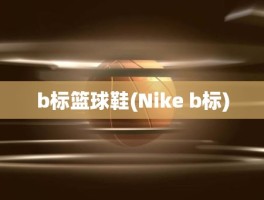 b标篮球鞋(Nike b标)