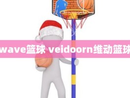 wave篮球 veidoorn维动篮球