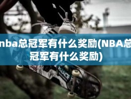 nba总冠军有什么奖励(NBA总冠军有什么奖励)