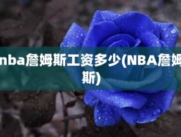 nba詹姆斯工资多少(NBA詹姆斯)