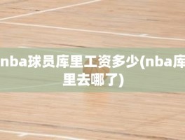 nba球员库里工资多少(nba库里去哪了)