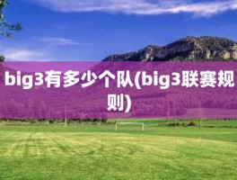 big3有多少个队(big3联赛规则)