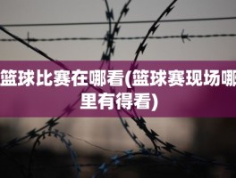 篮球比赛在哪看(篮球赛现场哪里有得看)