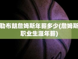 勒布朗詹姆斯年薪多少(詹姆斯职业生涯年薪)