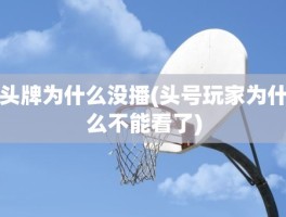 头牌为什么没播(头号玩家为什么不能看了)