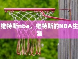 维特斯nba，维特斯的NBA生涯