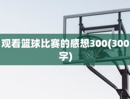 观看篮球比赛的感想300(300字)