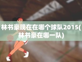 林书豪现在在哪个球队2015(林书豪在哪一队)