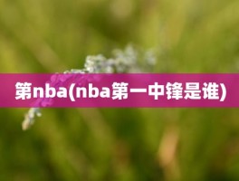 第nba(nba第一中锋是谁)