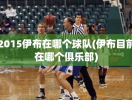 2015伊布在哪个球队(伊布目前在哪个俱乐部)