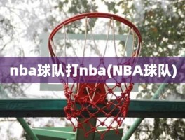 nba球队打nba(NBA球队)