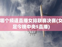 哪个频道直播女排联赛决赛(女足今晚中央5直播)