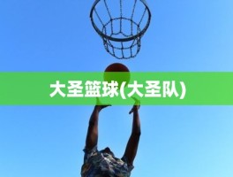 大圣篮球(大圣队)