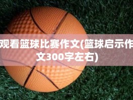 观看篮球比赛作文(篮球启示作文300字左右)