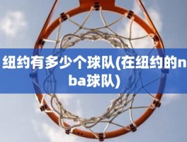 纽约有多少个球队(在纽约的nba球队)