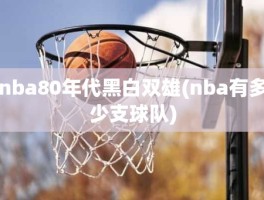 nba80年代黑白双雄(nba有多少支球队)