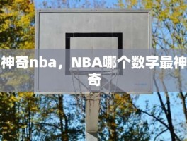 神奇nba，NBA哪个数字最神奇