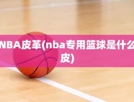 NBA皮革(nba专用篮球是什么皮)