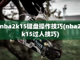 nba2k15键盘操作技巧(nba2k15过人技巧)