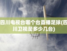 四川电视台哪个台直播足球(四川卫视是多少几台)