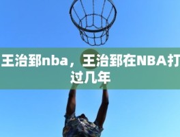 王治郅nba，王治郅在NBA打过几年