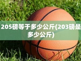 205磅等于多少公斤(203磅是多少公斤)