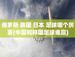 俄罗斯 韩国 日本 足球哪个厉害(中国和韩国足球谁赢)