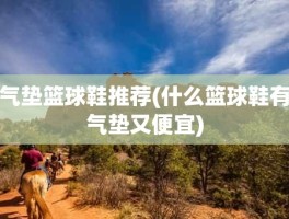 气垫篮球鞋推荐(什么篮球鞋有气垫又便宜)